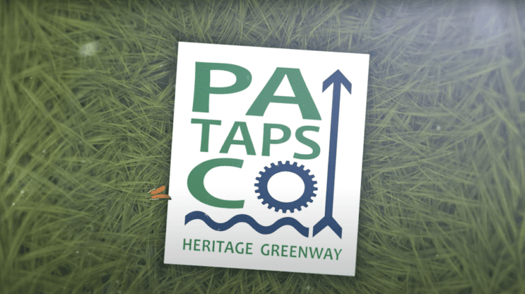 Patapsco Heritage Greenway Video Historic Oella Cemeteruy Cleanup June 3 2023