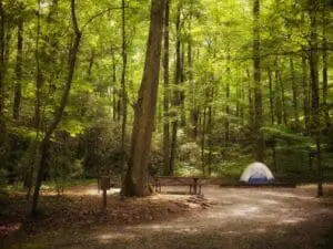 BMW of Owings Mills photo of camping spot